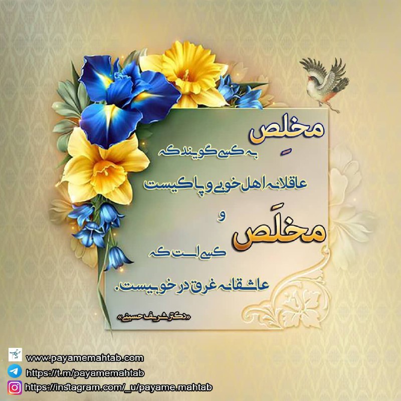 پيام مهتاب: مخلِص به کسی گویند که عاقلانه اهل خوبی و پاکیست و مخلَص کسی است که عاشقانه غرق در خوبیست. «دکتر شریف حسینی»@Payamemahtab