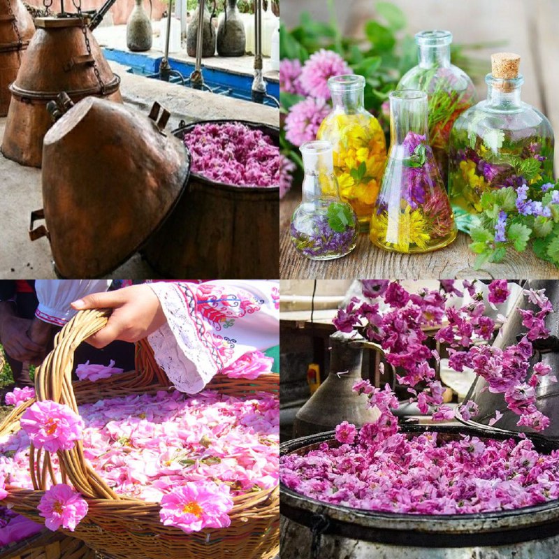 گلبرگ تندرستی: 📣💥📣💥📣💥📣💥📣💥📣💥📣💥✅ انواع گلاب رضوی کاشان با غلظت های مختلف و انواع عرقیات گیاهی و سنتی رضوی در داروگیاهی گلبرگ👌داروگیاهی گل
