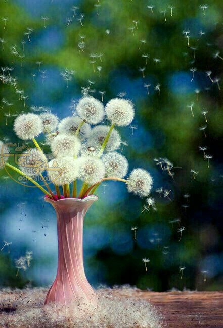 🌼 مهـــ❤️ـــربانی ها 🌼: لحظههای ناب منتظر شما نمیماننداگر میخواهید از زندگی به اندازه سنتان لذت ببرید،باید آنها را خلق کنید و شکارچی خوب لحظه
