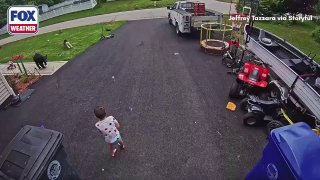 🇺🇸 Amazon delivery driver pepper sprayed a homeowner’s dogs as he was delivering packages.Looking at the body language, the dog actually came to greet him but he clearly mistook it for aggression. Too fast on the trigger but could have thought he may be attacked.In such situations, there is always a double opinion.Follow us -> LiveLeak