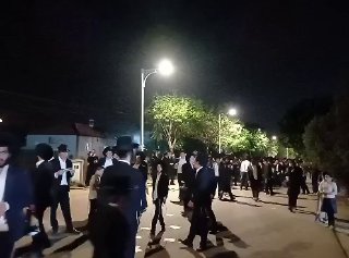 אלי הירשמן