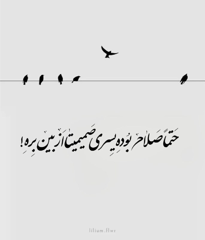 ☕️قَـہــوہ تـَلــْخ☕: خدایا شکرت بابت انسانهای سمی ای که از زندگیمون حذف کردی و ما بابتش بهت غر زدیم 🤍@Shah_Fal 💚♥️