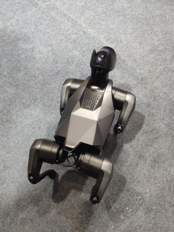 在世界机器人大会各展台间游荡，发现小米铁蛋2代颇受欢迎，目前已经快被遛没电了