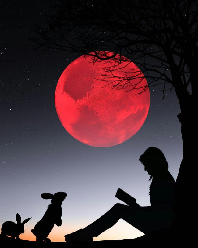 ❣️ دل‌نوشته‌ها: خوابتون اروم. شبتون خوش💐💐💐