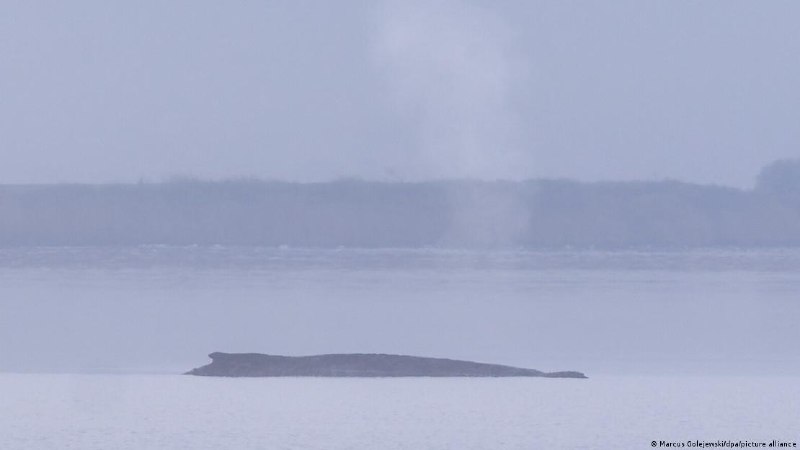 Умирающего в Германии кита поливают водой: о нем будут заботиться "до последней минуты" Горбатый кит, снова севший на мель у острова Пёль на побережье Балтийского моря, с пятницы не изменил своего положения, но все еще жив. "Кит дышит каждые четыре-пять ми