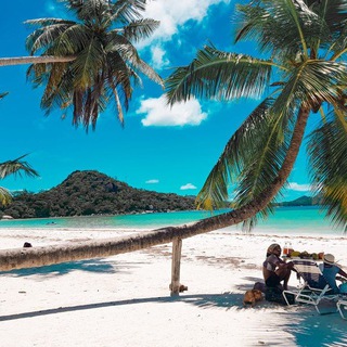 Urlaub/ leben/ Business auf Hawaii Telegram Group Link