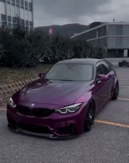 https://t.me/bmw_mpower_club