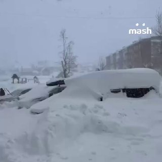 Снежный апокалипсис в Москве и области оказался самым сильным за 146 лет — с ночи сугробы выросли до 40-50 см. Местные продолжают воевать со стихией — расчищают лопатами всё что намело, часами раскапывают машины и оставляют чаевые курьерам, которые тонут в