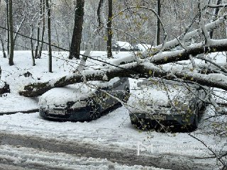 Из-за непогоды в нескольких регионах России в больницы доставлен 31 человек, погиб ребенок, более 76 тысяч человек остались без энергоснабжения, сообщает МЧС.Как передает ведомство, мокрый снег, грозы, град и сильный ветер прошли в Сибирском, Приволжском, 