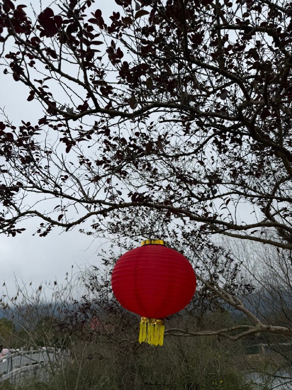 这届 AI 的最大好处可能是让绝大部分人快速见证自己平庸比如有了 AI 后写出来的文章还是没人看比如有了 AI 后拍出来的短片自己都不想看比如有了 AI 后听说能赚大钱结果自己亏了最终会发现能把 AI 用得很好的会是原本不懂 AI 的