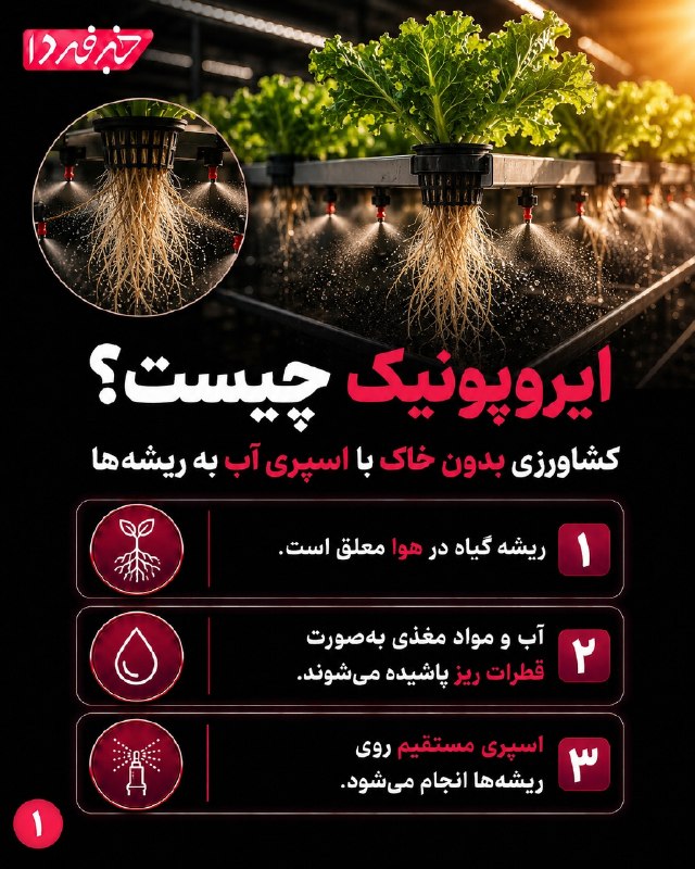 خبرفردا: 🔺 ایروپونیک چیست؟🔸 کشاورزی بدون خاک با اسپری آب به ریشهها.@khabarfarda_tv