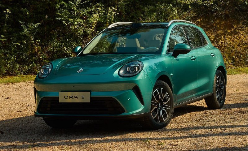 Great Wall добавит бензиновые версии бренду Ora

П...