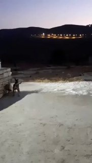 مستوطنون يهاجمون منزل مدير مدرسة بدوما ويهددون عائلته