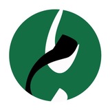 رسانه خبری بامدادنو