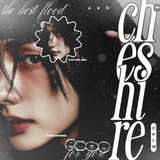 архив cheshire