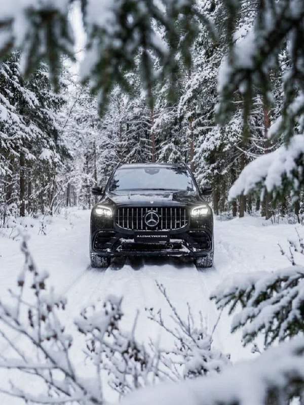 2.7-ton GLS 63 AMG 4MATIC+ 4.0-L V8 BITURBO 612 HP 0-100 km/h 4.2 sec 6