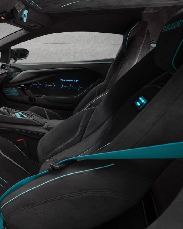 В ателье Mansory решили выпустить Lamborghini, полностью покрытую карбоном. 5