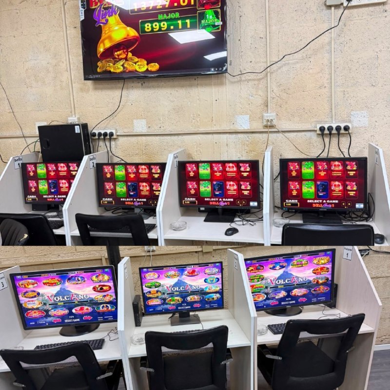 אור רביד