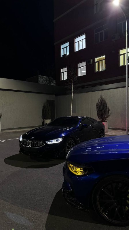 https://t.me/bmw_mpower_club