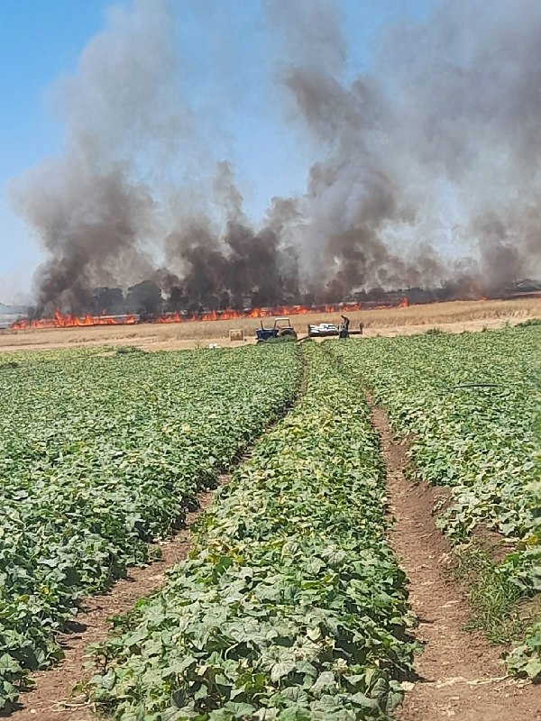 דחוף: הכיבוש שורף שטחים נרחבים של קרקע חקלאית פלסטינית ליד גדר ההפרדה במישור מארג' בן עאמר, ממערב לג'נין.