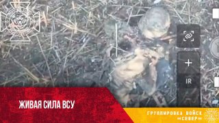 כטב"מים צפוניים משמידים ללא רחמים את חיל הרגלים של הכוחות המזוינים של אוקראינה