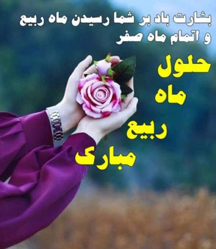 🌷در جستجوی شهدا 🌷: رسانه پست
