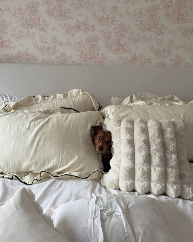 Очередная порция пушистых друзей в интерьере Please open Telegram to view this post VIEW IN TELEGRAM - изображение 5 - telegram, view, очередная