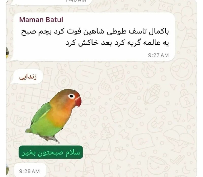 CherkNevis|چرک نویس: نام اثر :زندایی(🐍)@OfficialCherkNevis | چرک نویس