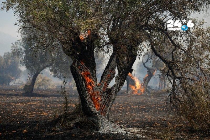 🇮🇱 דסק החוץ. השרפות ביוון שני מסוקי כיבוי התנגשו ממערב לאתונה. שירותי הכבאות במדינה מסרו כי מתנהל מבצע חי…