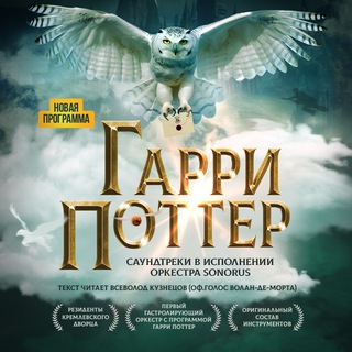 Telegram profile photo for Гарри Поттер. Оркестр Sonorus