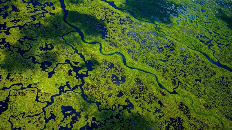 Follow the flowAerial view of Everglades National Park, Florida (© Tetra Images/Getty Images)