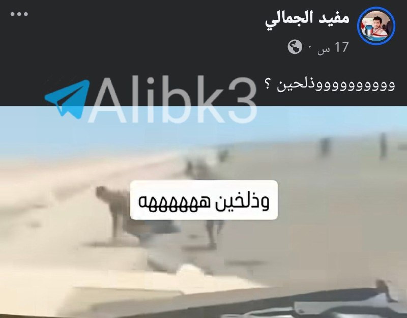 The killing of the famous war photographer associated with the mercenaries of the giants, who mocked the Yemeni prisoners and supported their killing