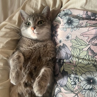 анонимный клуб любителей Пеннички Telegram Group Link