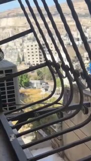 כוחות הכיבוש מתחילים לסגת מסביבת בית החולים המתמחה שכם