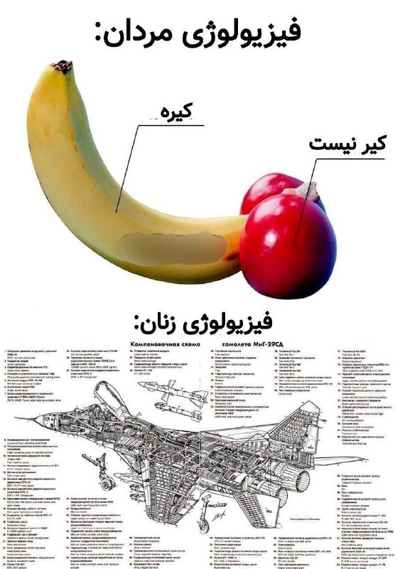 دَیوثانِ کُهنسال...!: حق پرومکس :)))Victor | @Dau3in