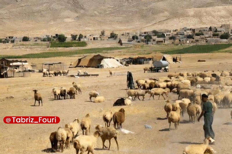 تبریز فوری: عشایر کوچ‌روی سهند یک میلیارد تومان زکات پرداخت کردند🔹رئیس کمیته امداد امام خمینی مراغه اعلام کرد که عشایر کوچ‌روی سهند 