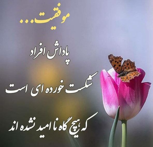 جملات ناب: موفقیت... پاداش افراد شکست خورده ای است که هیچ گاه نا امید نشده اند @jomaalat_nab