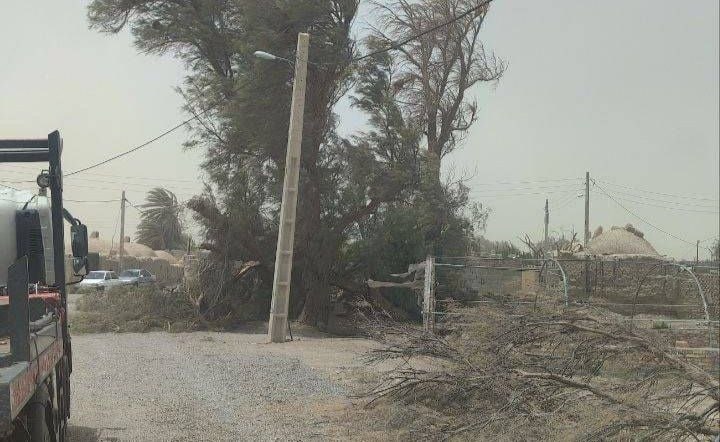 הסופה הפילה חמישה עמודים של רשת החשמל בביוב; נזק של 20 מיליארד ריאל למתקני חשמל
