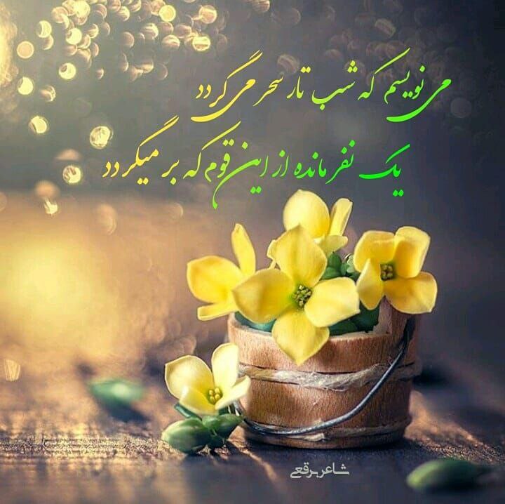 ذڪـر رۅزانـہ: #السلام_علیڪ_یااباصالح_المهدے❤ ࿐ᭂ⸙♥️﷽♥️⸙ᭂ࿐💥🌹بعدازنمازعشاء🌹💥💥اللَّهُمَّ إِنَّهُ لَيْسَ لِي عِلْمٌ بِمَوْضِعِ رِزْقِي و