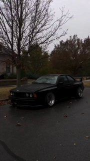 BMW 6 e24 🦈
