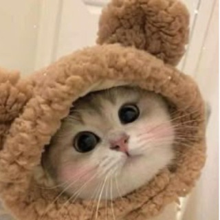 Telegram profile photo for Варежки