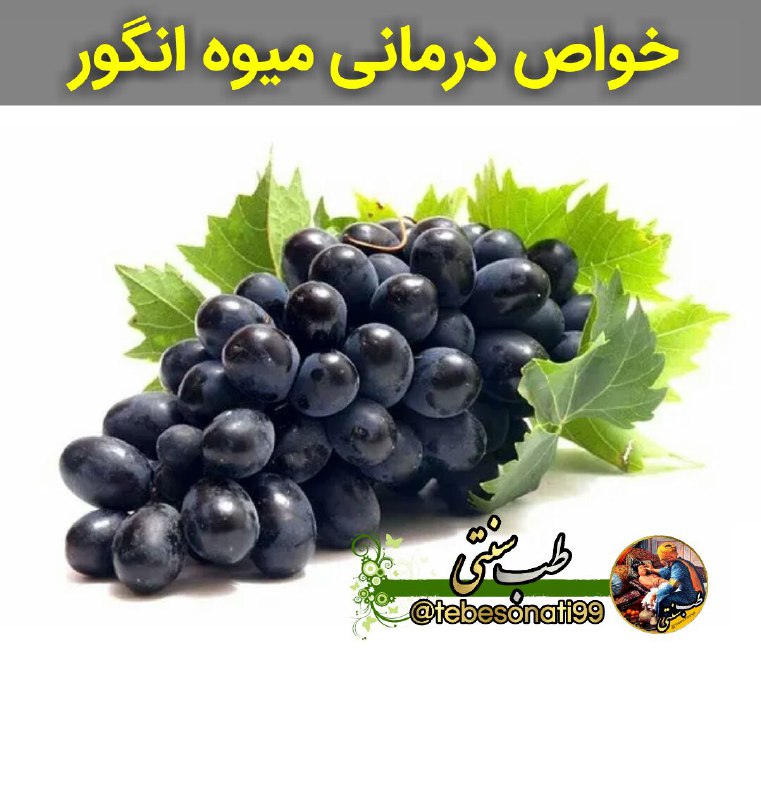 🍏طب سنتی🍏: خواص درمانی میوه انگور👇انگور بر طبق طب قدیم ایران گرم و تر است .۱) اخلاط بدن را متعادل می کند .۲)بسیار مقوی و مغذی است .