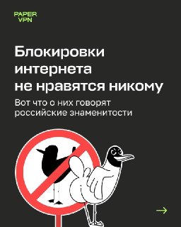 Блокировки интернета не нравятся никому: теперь их критикуют даже лояльные власти знаменитости. Чтобы обходить ограничения, подключайте Paper VPN Самым заметным стало высказывание Виктории Бони: ее обращение набрало 1,3 миллиона лайков и дошло до Кремля. Т
