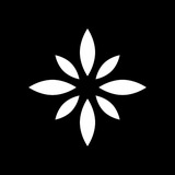 Granfix Crypto