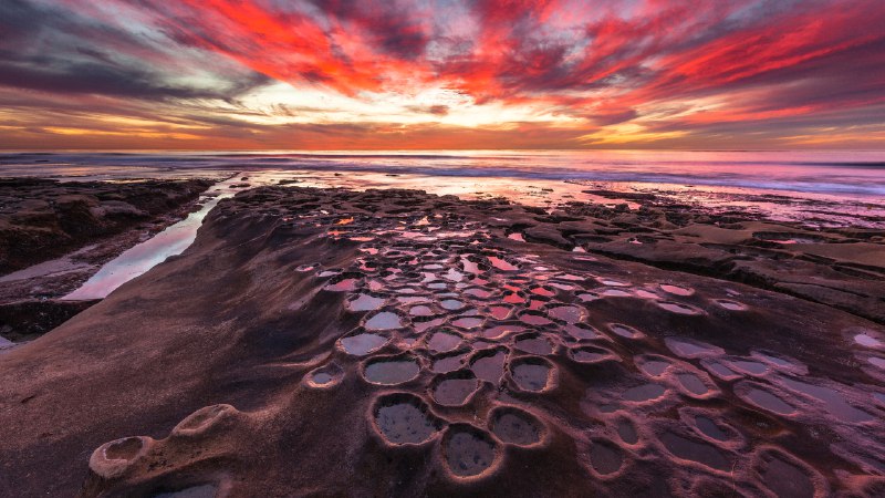 Tide and seekTide pools in La Jolla, California (© Andrew Shoemaker/DanitaDelimont.com)