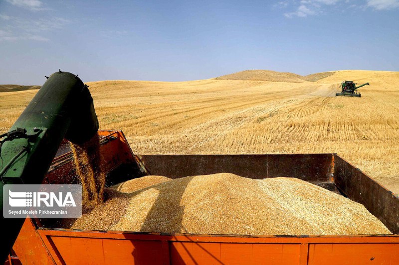 🔸 סגן שר הג'יהאד: תשלום של עוד 50 אלף מיליארד תומאן מדרישות חקלאי החיטה בימים הקרובים