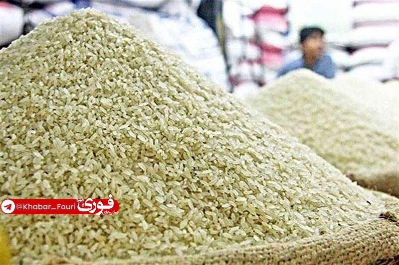 خبرهای فوری مهم 🔖: چه کسانی برنج آمریکایی وارد کردند؟دبیر انجمن واردکنندگان برنج ایران:🔹این محموله‌ها توسط اشخاص حقیقی و از طریق کشور عراق 