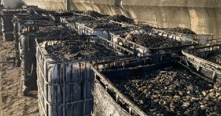 Как живет и собирается жить дальше Туапсе, где начальство по-прежнему обещает курортный сезон — репортаж Ирины Тумаковой*18+. НАСТОЯЩИЙ МАТЕРИАЛ (ИНФОРМАЦИЯ) ПРОИЗВЕДЕН, РАСПРОСТРАНЕН И (ИЛИ) НАПРАВЛЕН ИНОСТРАННЫМ АГЕНТОМ БОРУХОВИЧ (ТУМАКОВОЙ) ИРИНОЙ ГРИГО