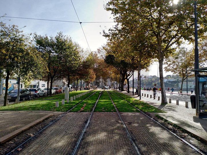 波多(波爾圖)特色 | 波多的芝麻小事