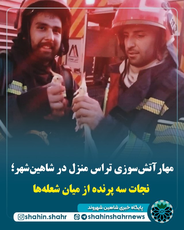 شاهین شهر وند: 📌مهار آتش‌سوزی تراس منزل در شاهین‌شهر؛ نجات سه پرنده از میان شعله‌ها🔹آتش‌سوزی در تراس یک منزل مسکونی واقع در خیابان #حاف